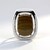 Ciondolo in argento con Legno Fossile (dagen)