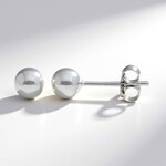 Orecchini in argento