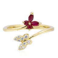 AAA-Mosambik-Rubin-Goldring (CIRARI)
