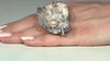Zilveren ring met een schelp (TPC)