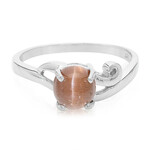 Zilveren ring met een kattenoog-scapoliet