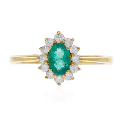 Gouden ring met een AAA Zambia smaragd