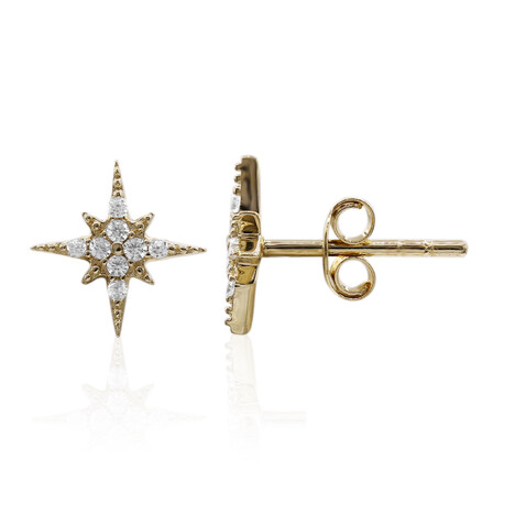 Zirkon-Silberohrringe