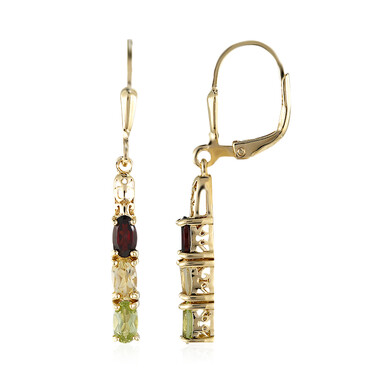 Garnet Silver Earrings