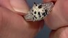 Zilveren herenring met een Dalmatiër Jaspis