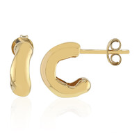 Orecchini in argento