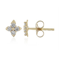 Orecchini in oro con Diamante I2 (H) (de Melo)