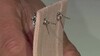 Pendientes en plata con Topacio blanco (Adela Silber)