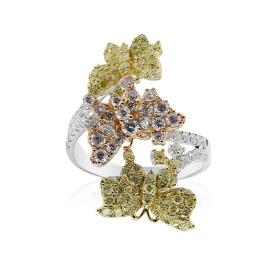 Brillant-Goldring (CIRARI)