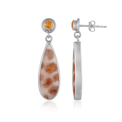 Pendientes en plata con Piedra petoskey