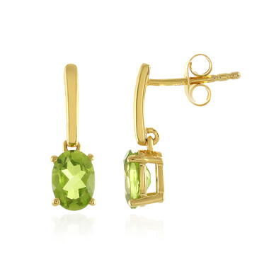 Orecchini in argento con Diopside Russo