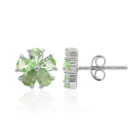 Boucles d'oreilles en argent et Grenat Tsavorite