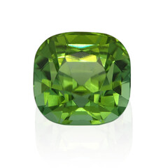 Gemma con Tormalina Verde