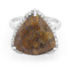 Anello in argento con Quarzo Dinosauro