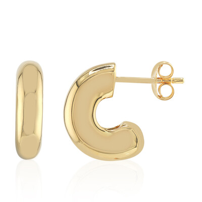 Orecchini in argento