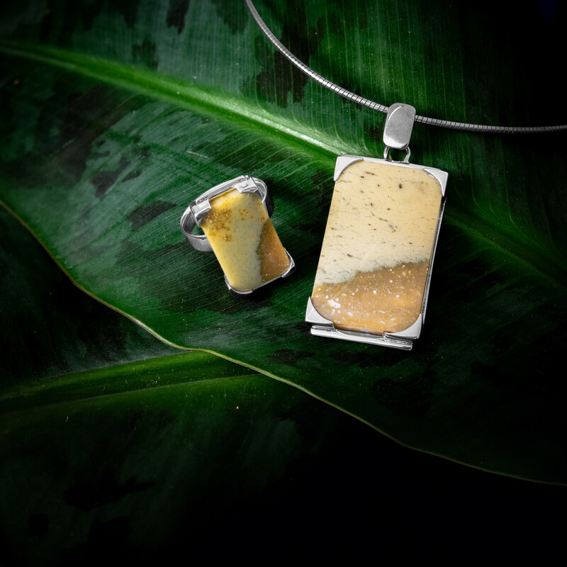 Colgante en plata con Madera de palma petrificada (Bali Barong)