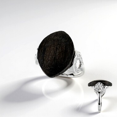 Bague en argent et Chêne des marais (dagen)