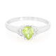 Anello placcato in platino con Tormalina Cuprian