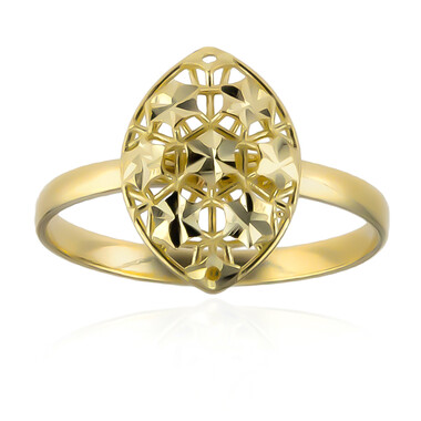 Gouden ring (Goldkunst)