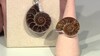 Bague en argent et Ammonite (Bali Barong)