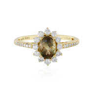 Oregon-Sonnenstein-Goldring (AMAYANI)