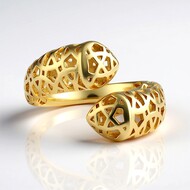 Silver Ring (Ornaments by de Melo)