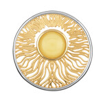 Zilveren hanger met een mistige Baltische barnsteen (dagen)