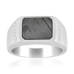 Zilveren ring met een Aletai meteoriet