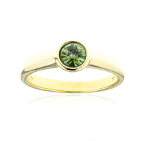 Gouden ring met een Namibian Demantoid (CUSTODANA)