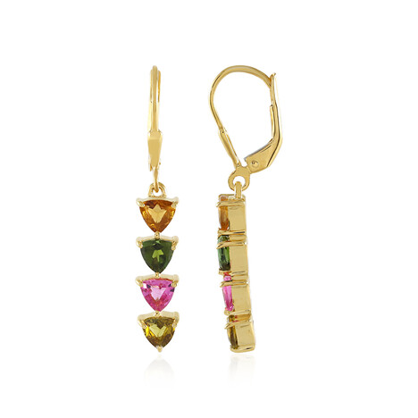 Fancy Tourmaline Silver Earrings