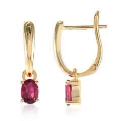 9K Rubellite Gold Earrings (Tenner Diniz)