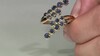 Gouden ring met blauwe saffieren (de Melo Gold)