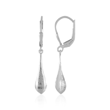 Orecchini in argento