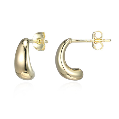 Zilveren oorbellen (Adela Silber)