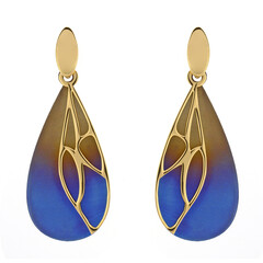 Boucles d'oreilles (dagen)