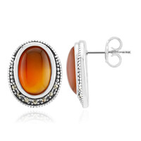 Orecchini in argento con Corniola (Annette classic)