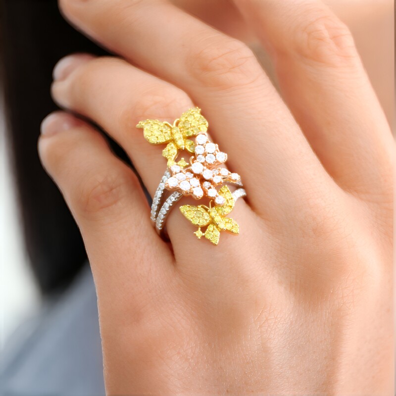 Brillant-Goldring (CIRARI)