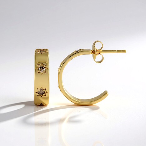 Orecchini in argento con Diamante Cioccolato I2