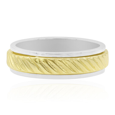 Silberring (Nan Collection)