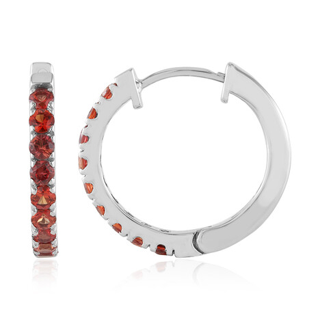 Tansania-Rubin-Silberohrringe