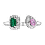 Edelstein-Goldring (CIRARI)
