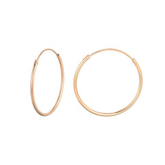 Pendientes en plata