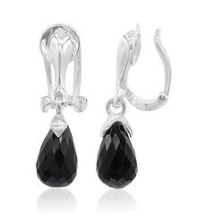 Zilveren oorbellen met zwarte agaten