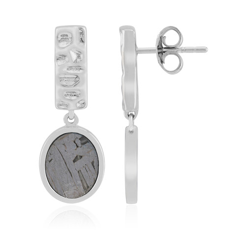 Aletai-Meteorit-Silberohrringe