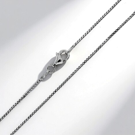 Catenina in argento