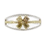 SI2 Fancy-Brillant-Goldring (CIRARI)