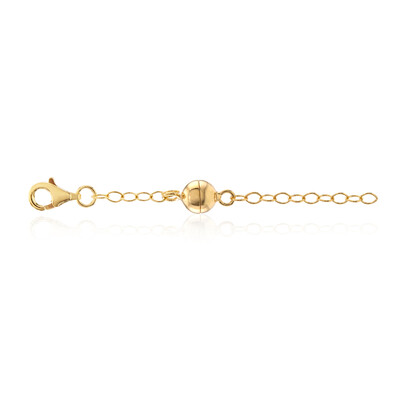 Zilveren ketting