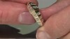 Anillo en oro con Diamante IF (G)  (de Melo Gold)