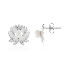 White Freshwater Pearl Silver Earrings (de Melo)
