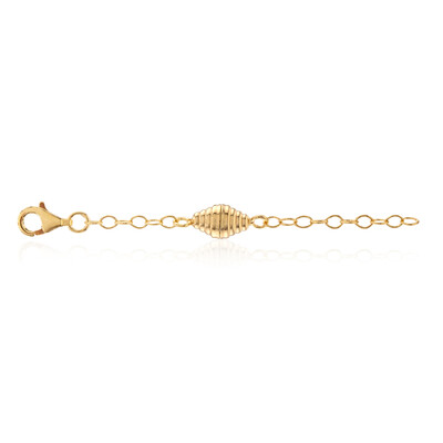Silver Chain
